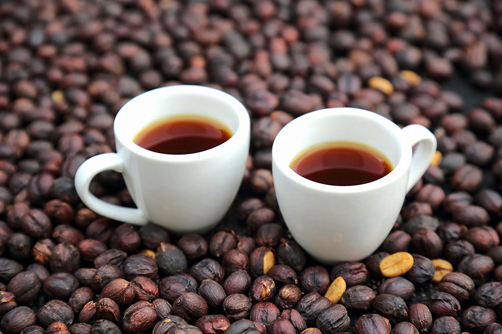 月勝吉以蜂蜜液態肥栽種咖啡，研發出風味獨特的「蜜咖啡」，喝起來有淡淡甜味。 圖／...