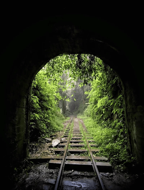 失落「眠月線」，迷霧森林與鐵道遺跡。 圖／橘子貓TTtrips