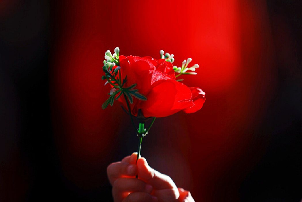 2021 年 12 月 26 日，居住在日本的緬甸人手持紅玫瑰，哀悼在緬甸遭軍方...