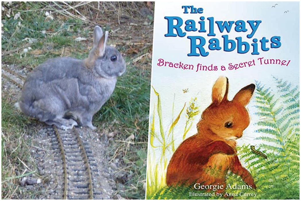 對於歐美國家而言，兔子是與鐵道相伴存在的文化意象。左為鐵軌上的兔子，右為美國童書...