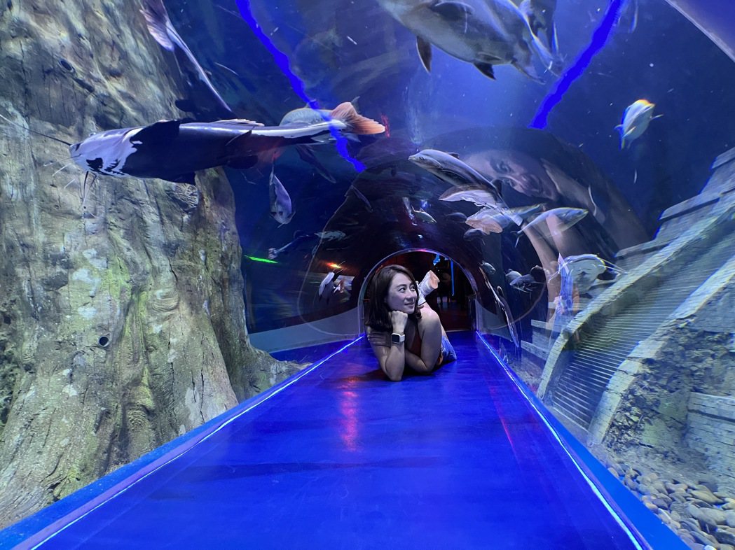 水族館內有各種高矮的玻璃通道，感受人魚共泳的樂趣。記者羅建怡／攝影