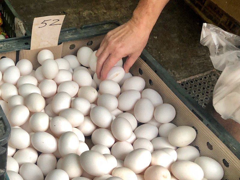蛋雞產業團體欲調漲蛋價，農委會今傍晚與產業界開會後，決定暫時凍漲。聯合報系資料照
