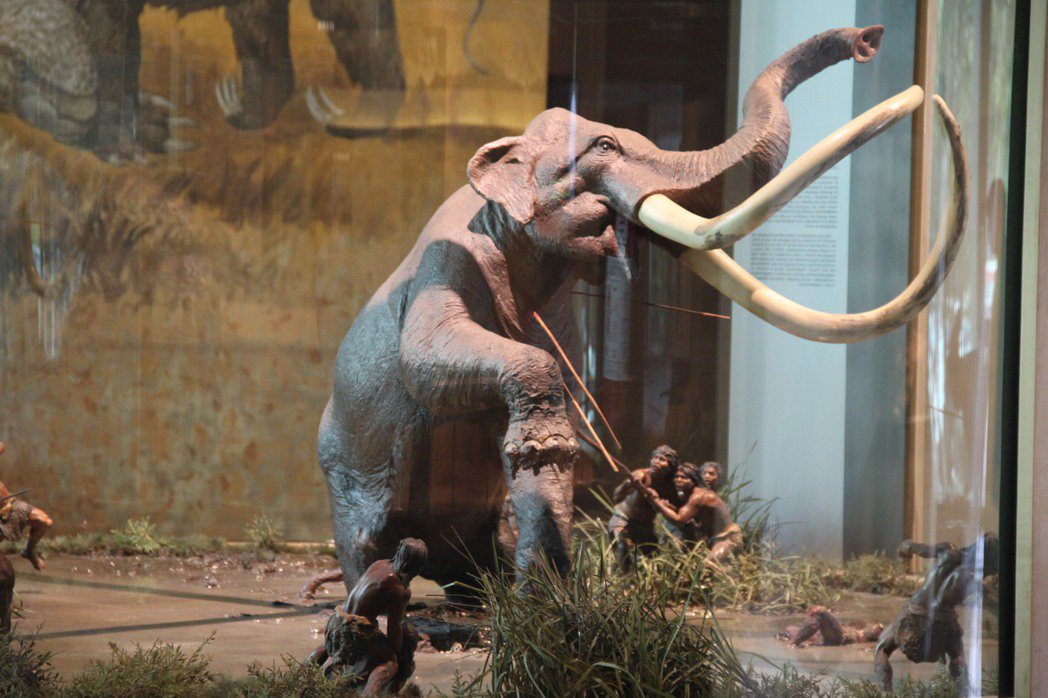 更新世的猛獁象與人類。圖為墨西哥國家人類學博物館模型。 圖／維基共享 