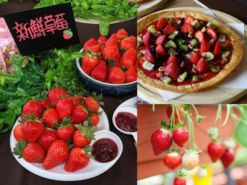 圖左與右上／台北市產業局提供
圖右下／2023內湖草莓季官網