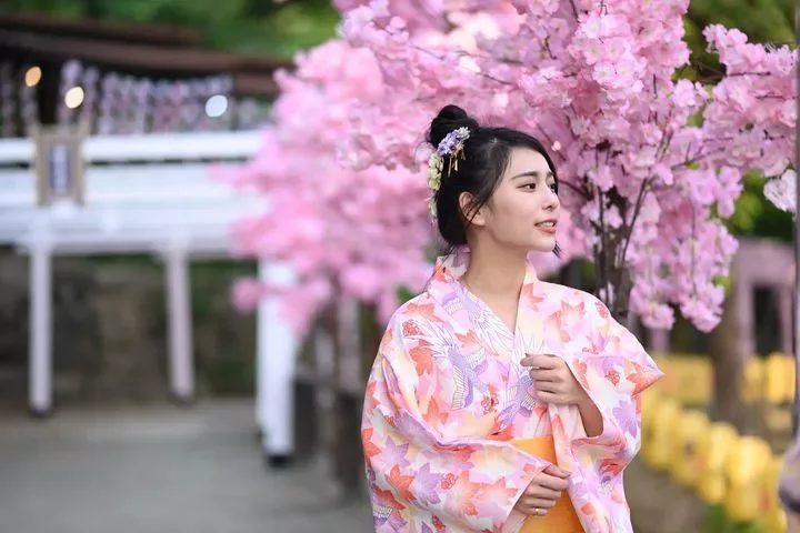 來到全新開幕的「千野村日式景觀餐廳」，旅客可穿著和服漫步在櫻花步道下。 圖／Kl...
