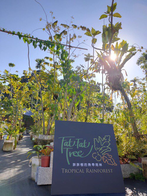 胖胖樹王瑞閔期望如樹般日日成長，讓自己、讓台灣藉由植物來通往全世界，和所有文化連...