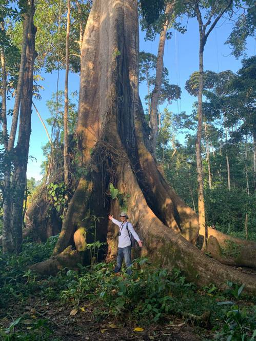 胖胖樹王瑞閔曾到亞馬遜雨林顏就當地的民族植物。 圖／王瑞閔提供
