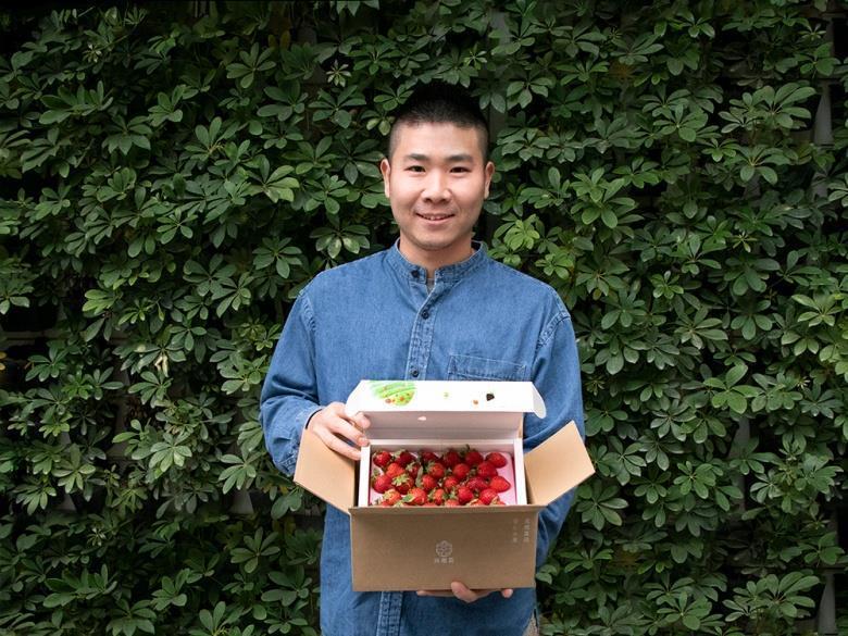 無毒農2023年重新設計草莓禮盒包裝，除了減少塑膠的使用，也欲提升台灣草莓的意象...