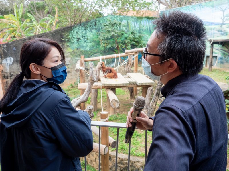 新竹市長高虹安今訪視新竹市立動物園與台灣昆蟲館新竹分館，由園方介紹動物知識。圖／新竹市政府提供