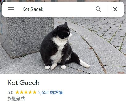 賓士貓浪浪Gacek，成為當地熱門好評景點。圖擷自Google Maps