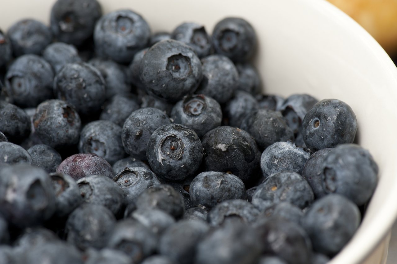藍莓表面的蠟形成一種保護層，可以防護外來細菌、黴菌或是昆蟲對藍莓的傷害，也可以減緩藍莓內部水分經過表皮的散失。