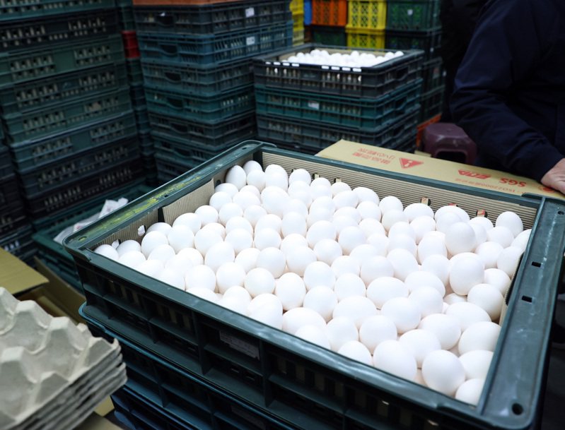 因禽流感、氣候不穩定加上飼料價格上漲，國內高蛋價仍鬧蛋荒。記者曾吉松／攝影