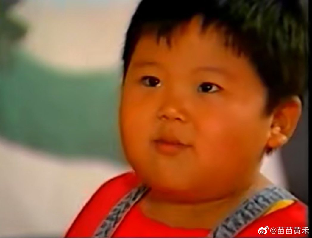 大陸演員陳晨曾被譽為「國寶級童星」。圖／摘自微博