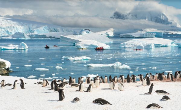 元本旅遊為過去三年無法好好度蜜月的新人規劃南極婚禮專案，將缺憾轉變為永恆的回憶。...