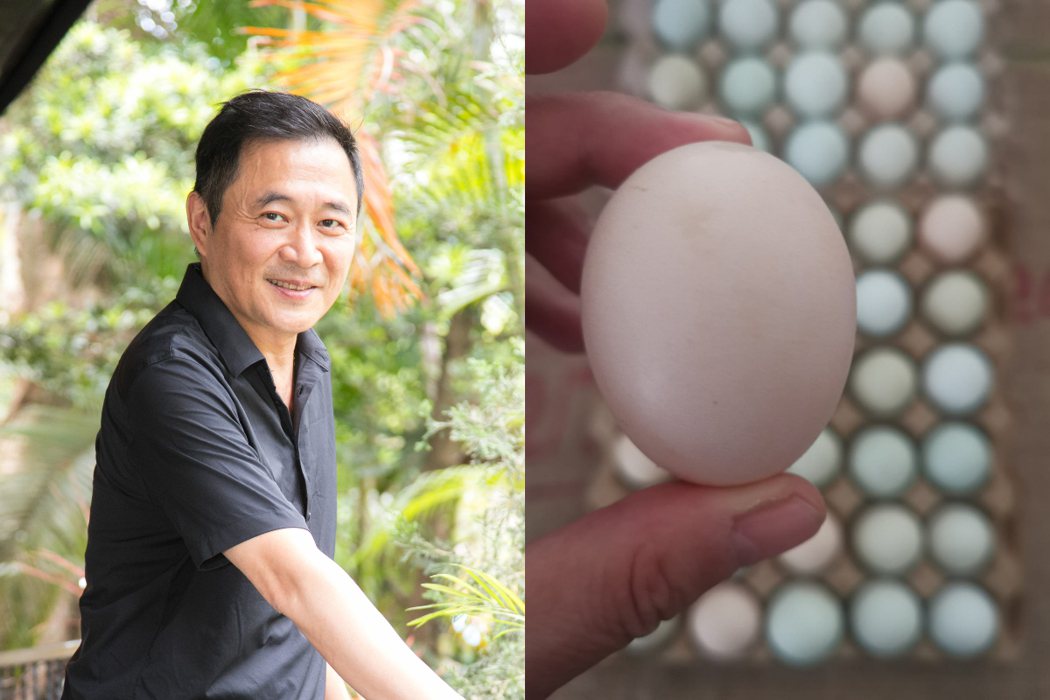 湯志偉表示自己在家中後院養了16隻雞，因此省了不少買雞蛋的錢。 圖/截自湯志偉臉書