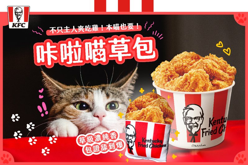 肯德基推出「咔啦喵草包」。圖／擷取自KFC粉絲頁