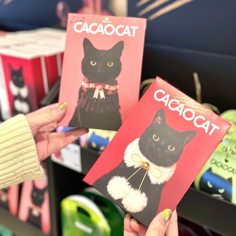 來自日本北海道的巧克力「CACAOCAT」即日起至3/14快閃新光三越台北站前店。圖／新光三越提供