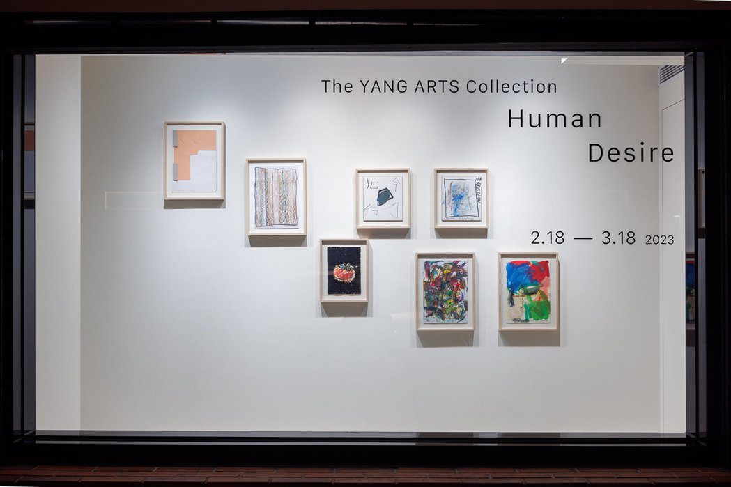 「Human Desire：The YANG ARTS Collection」櫥...