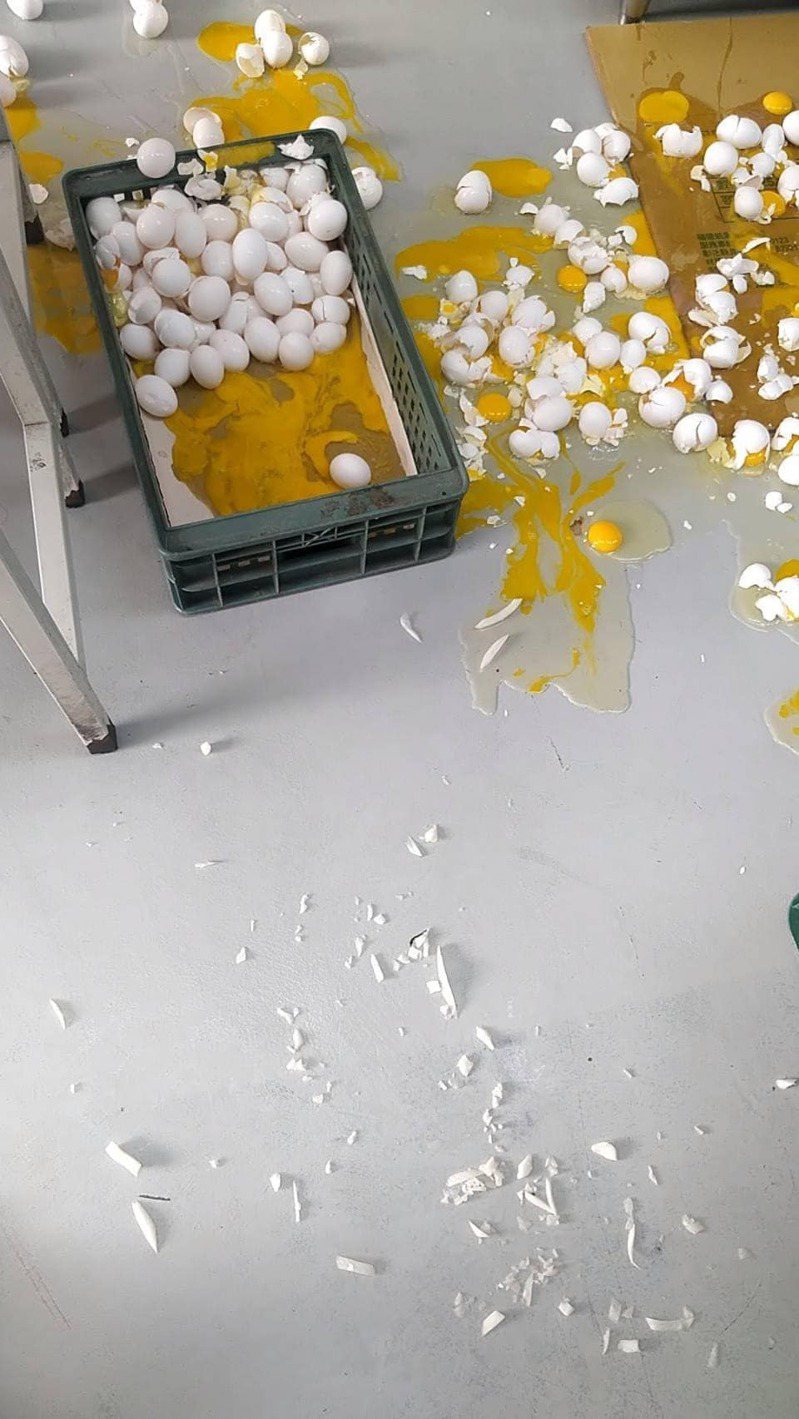 一名網友表示自己不小心將一箱蛋打翻。圖擷自《爆怨公社》