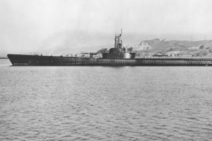 刺尾鯛艦齡較輕，1944年1月首度出擊，生涯僅出擊5趟，但是手氣奇佳，累積33艘船、11.6454萬噸的成績。圖／取自維基百科Naval History & Heritage Command