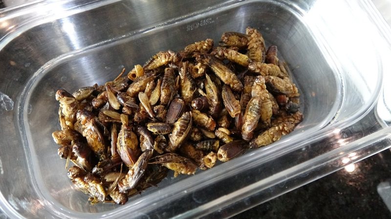 泰国人自古有食用昆虫传统，蟋蟀也是泰国人补充营养的一种食物。图／中央社(photo:UDN)