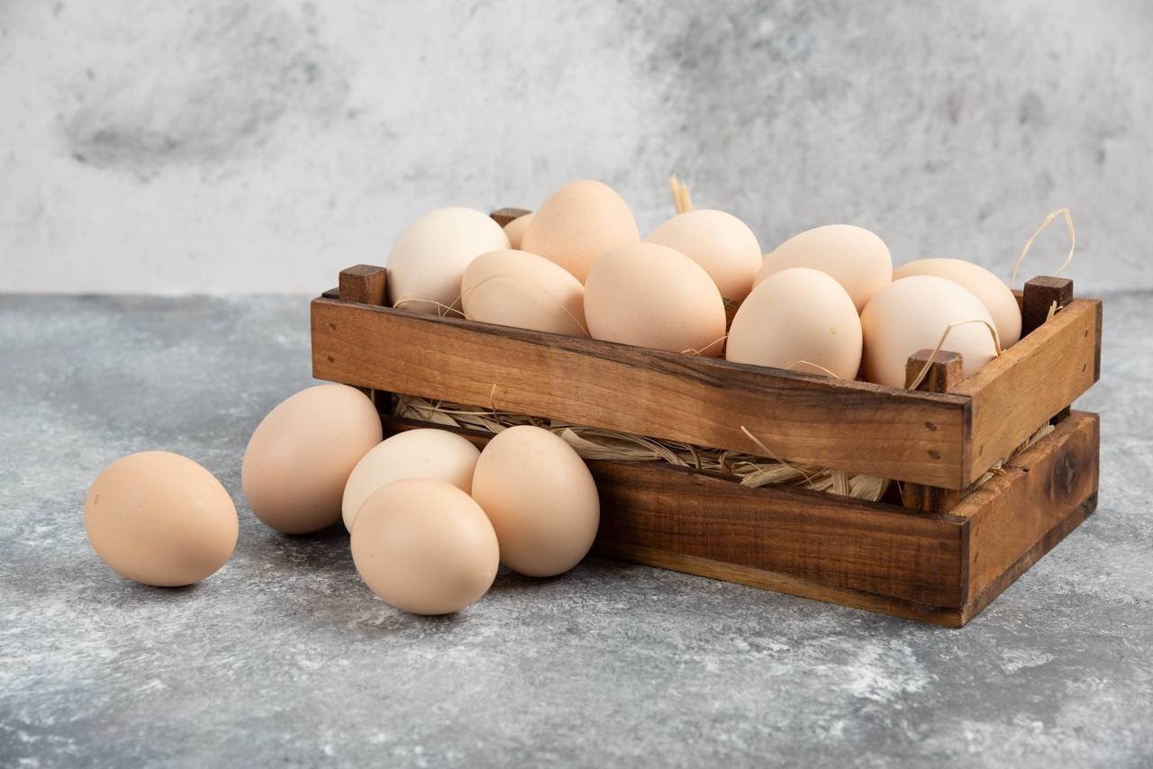 關於蛋你了解多少？雞蛋的六大迷思。 圖／freepik