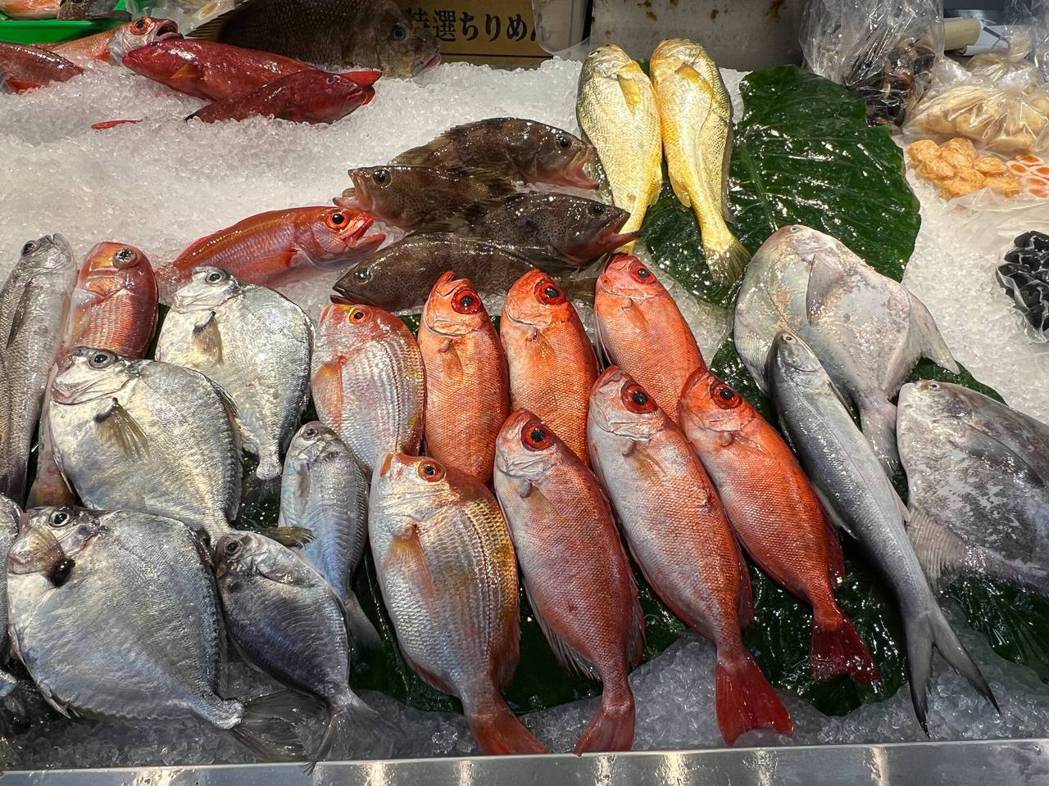 最重要的是認識產地與產業，親身了解屬於臺灣食魚文化。 圖／黃之暘提供