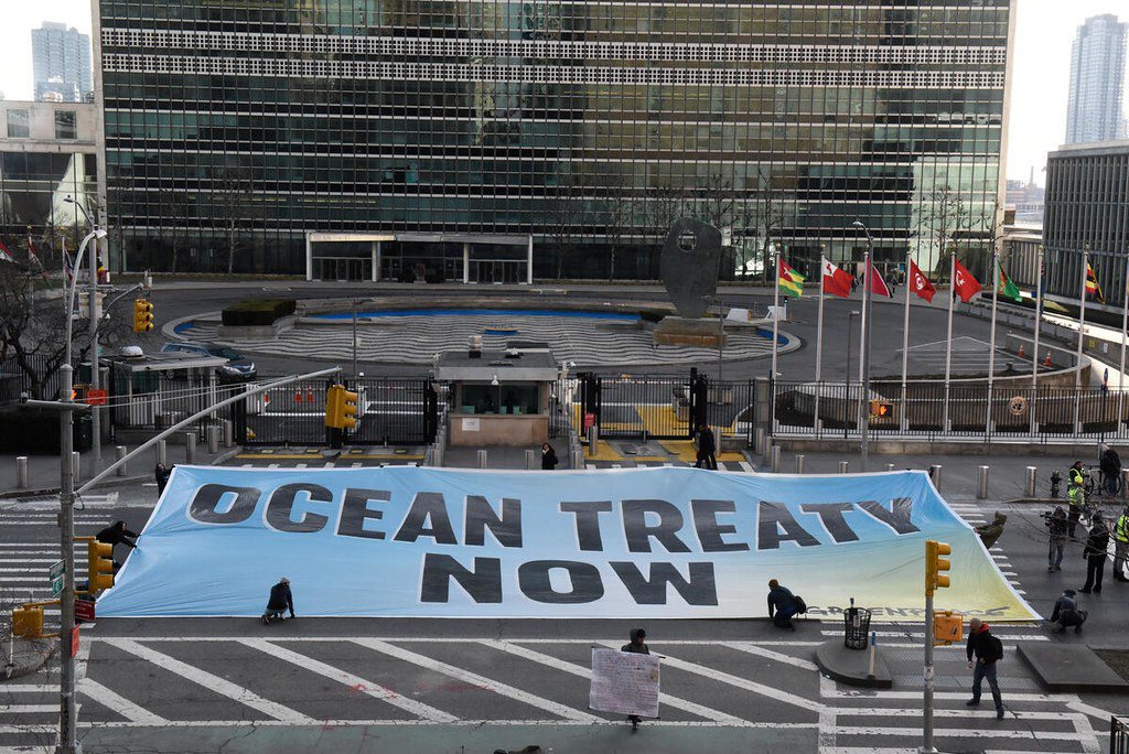 公海條約談判一度卡關，公民團體在聯合國會場外拉起布條，訴求「我們現在就要海洋條約...