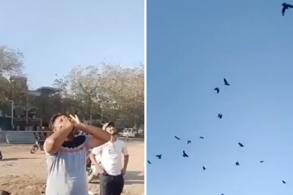 印度一名男子朝天空呼喚成群烏鴉的一幕讓網友直呼超神。圖／翻攝自微博