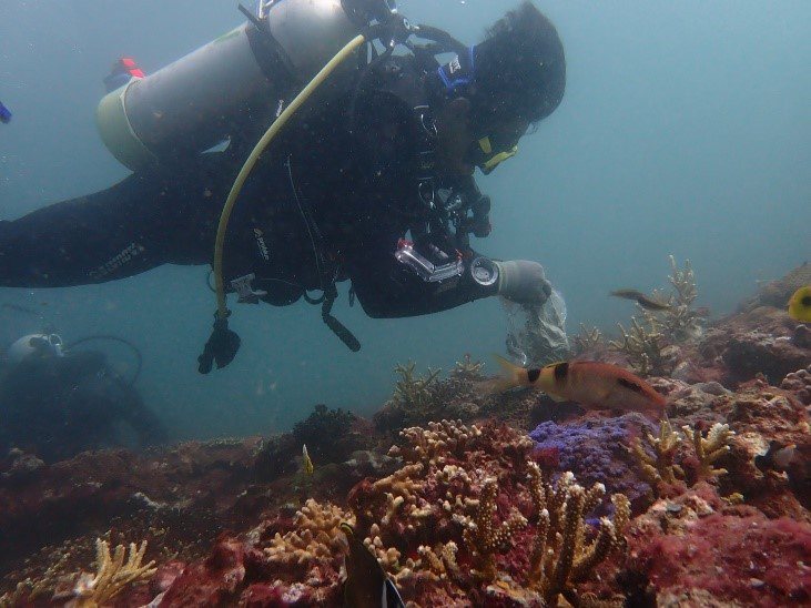 珊瑚移植團隊在珊瑚移植後陸續照顧珊瑚。圖／新北市漁業處提供