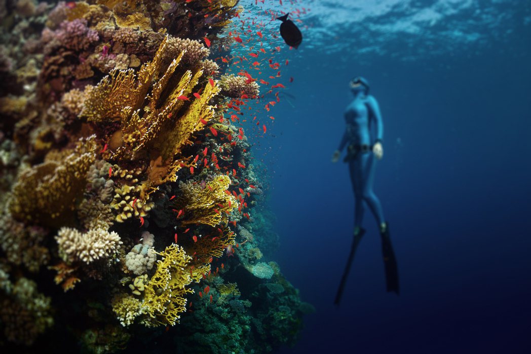自由潛水是通往蔚藍深海的一把神祕鑰匙，引領你無拘無束在大海中自在遨遊。
