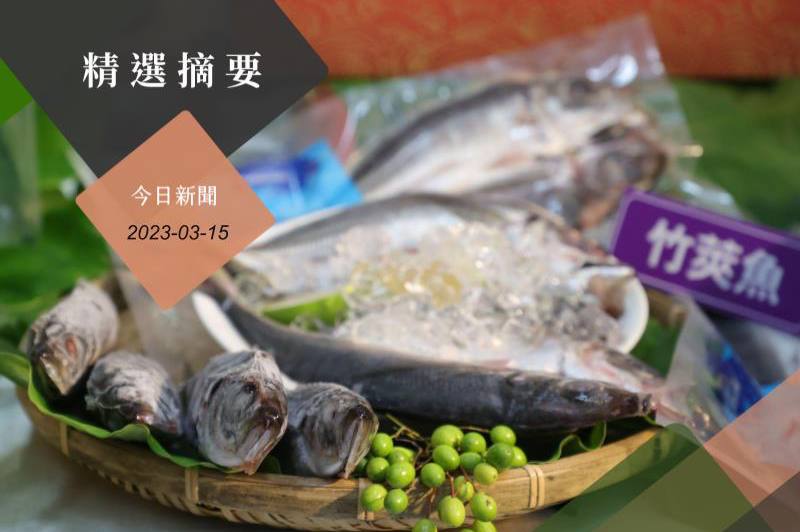 大陸宣布將自今年3月15日起恢復輸入台灣冰鮮白帶魚、凍竹筴魚。圖／聯合報系資料照片