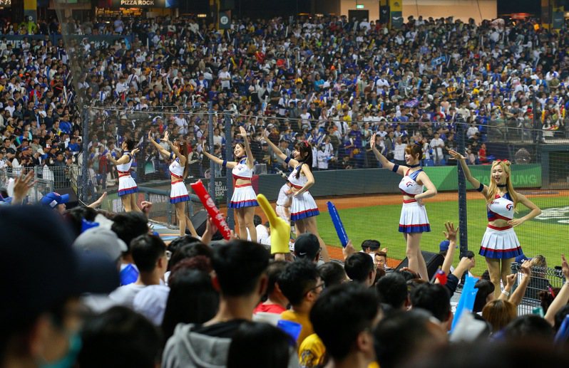 2023世界棒球經典賽球迷與啦啦隊應援熱烈，有網友指出與其他國家相比，台灣現場最有氣勢。報系資料照／記者余承翰攝影