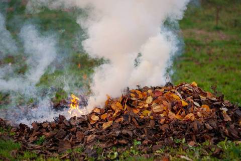 在掃墓期間減少焚燒紙錢或雜草，保護環境也避免火災發生。 圖／freepik