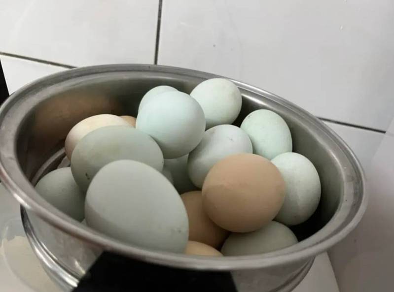 市場缺蛋，宜蘭有民宿業者推出包棟入住，送雞蛋及小雞活動，非常吸引人，客人詢問不斷。圖／翻攝騎馬在對面民宿臉書