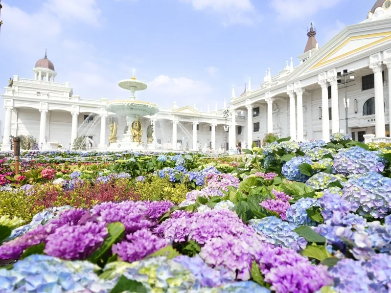 佐登妮絲城堡以繡球花、薰衣草等各式花卉融合而成的紫色花毯，將超過萬坪的絕美歐式花...