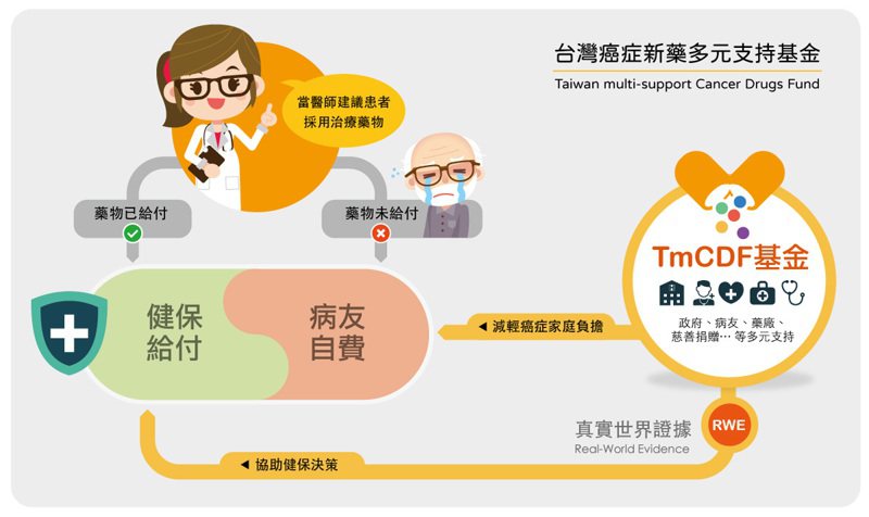 台灣癌症新藥多元支持基金（TmCDF）運作機制說明。圖／截自台灣癌症基金會