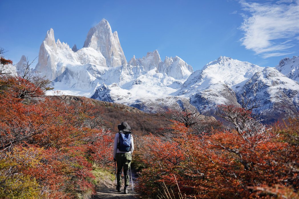 阿根廷菲茨羅伊峰健行步道，秋天的紅葉和雪白的山峰，加上旅途時難忘的回憶，交織為一...