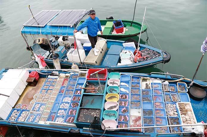 西貢每日有許多新鮮海產靠岸。圖／TTN旅報提供