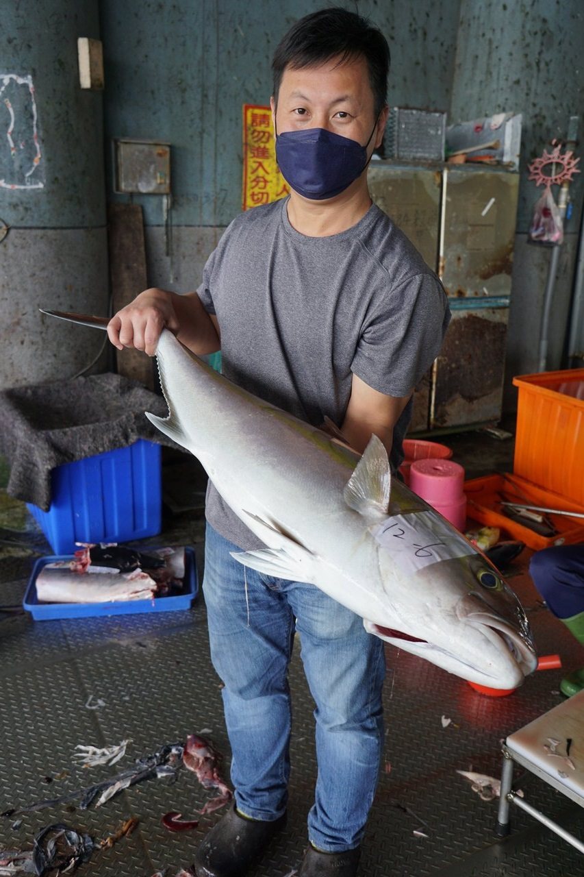 在成功鎮漁港看魚、買魚，是旗遇海味經營者林昱濱的生活日常。圖／于國華提供