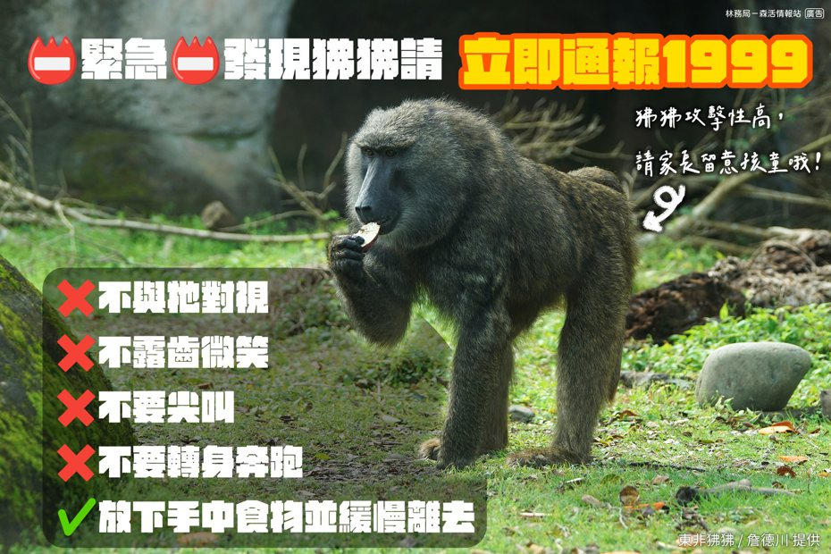 林務局表示，如果民眾遇到狒狒，採取4不行為。圖取自「林務局-森活情報站」臉書粉專