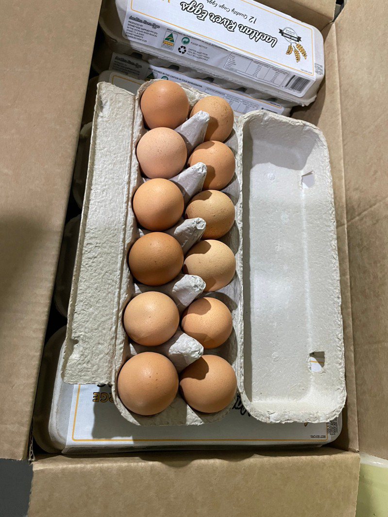 農委會表示，月底前要從澳洲進口500萬顆雞蛋；分配到加工廠，也將進入北部零售市場。圖為澳洲進口雞蛋。圖／業者提供