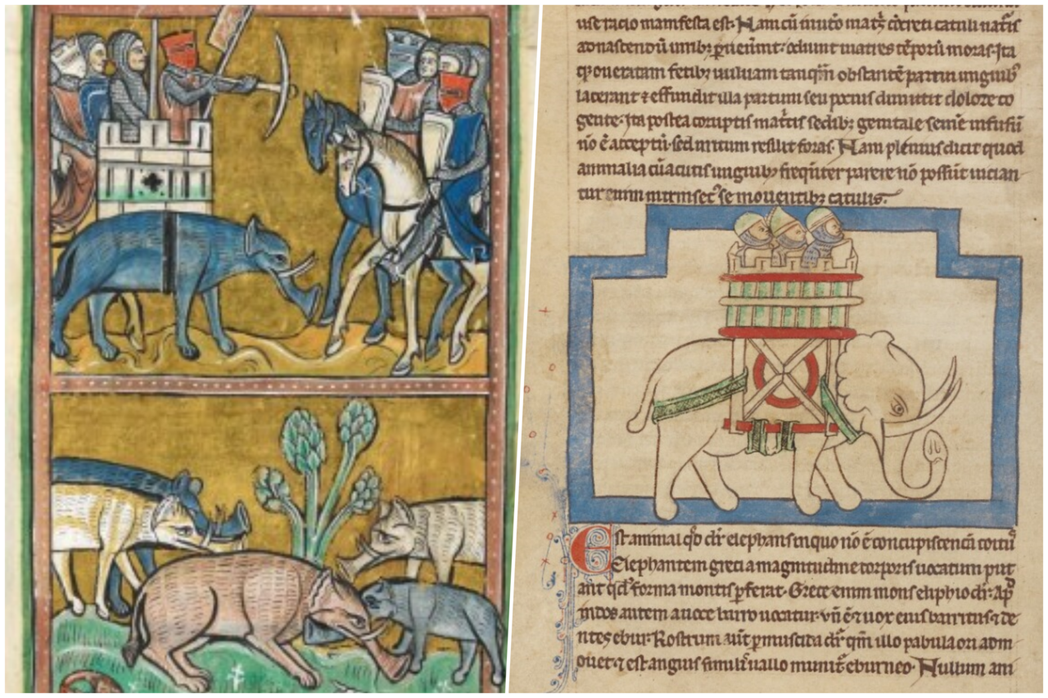左為13世紀《羅切斯特動物寓言集》（Rochester Bestiary）的大象...