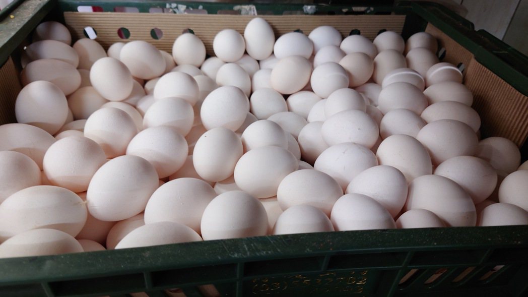 國內持續缺蛋，整箱蛋給人「蛋蛋的幸福」。記者簡慧珍／攝影