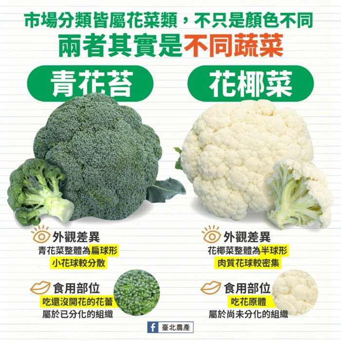 白花椰菜和綠花椰菜其實是不同蔬菜。 圖／臺北農產提供