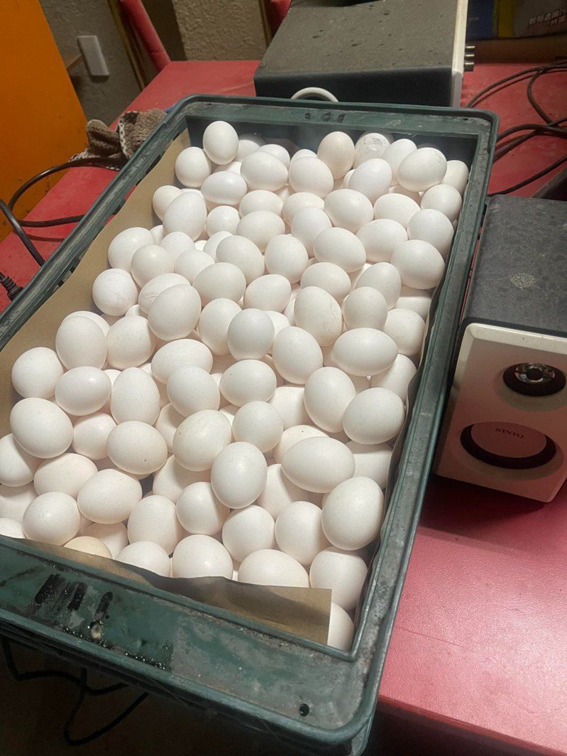 有民眾透露，日前跟雞蛋中盤商買下一大籃20斤的雞蛋只要1200元。 圖／翻攝自臉書社團「爆廢公社二館」