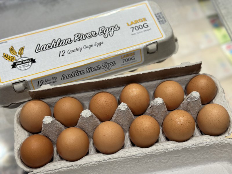 大潤發、美廉社也宣布陸續開賣進口蛋。記者黃筱晴／攝影
