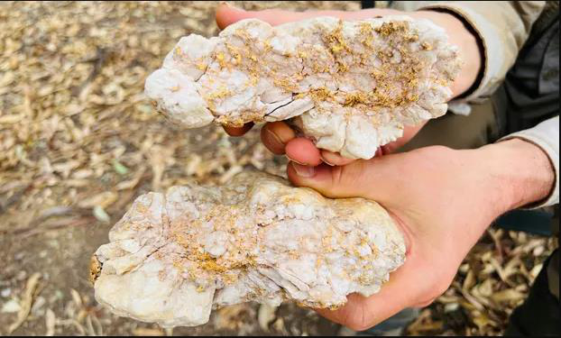 澳洲一名男子在維多利亞金礦區挖出價值近25萬澳元（約新台幣509萬）的金礦石。截...