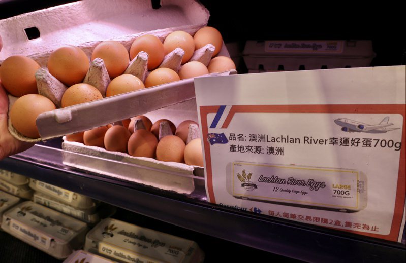 家樂福北部量販於今天起陸續上架澳洲冷藏進口雞蛋，共2款規格，分別為澳洲進口，600g/12入售價79元，700g/12入售價89元。記者林俊良／攝影