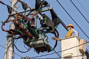 電價漲之餘也要提防不停電，台電公司為避免因鳥類在電桿上築巢又造成停電事，經常加強線路巡視。圖／台電提供